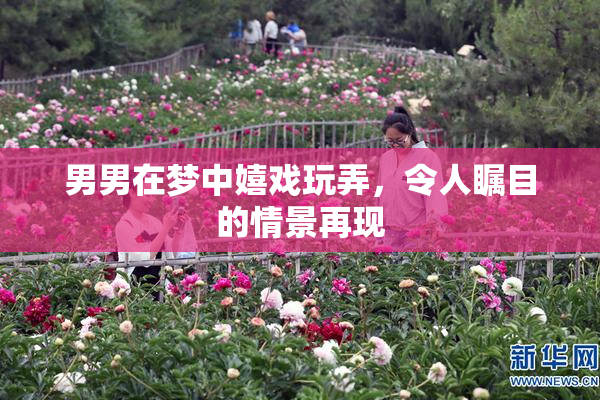男男在梦中嬉戏玩弄，令人瞩目的情景再现