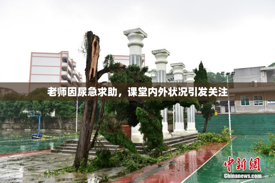 老师因尿急求助，课堂内外状况引发关注
