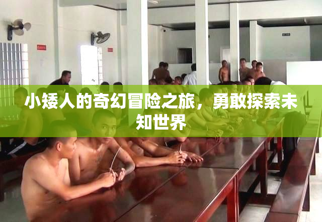 小矮人的奇幻冒险之旅，勇敢探索未知世界
