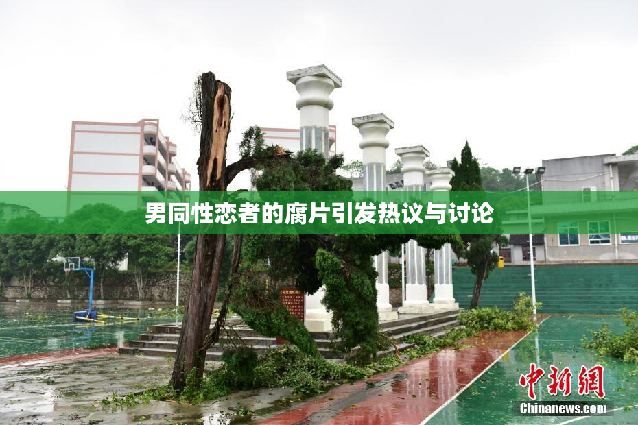 男同性恋者的腐片引发热议与讨论