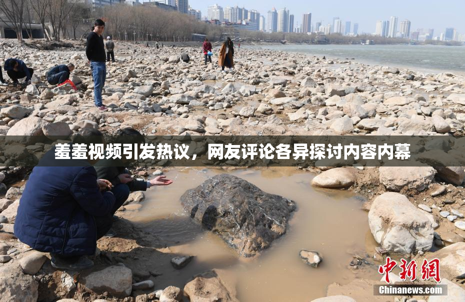 羞羞视频引发热议，网友评论各异探讨内容内幕