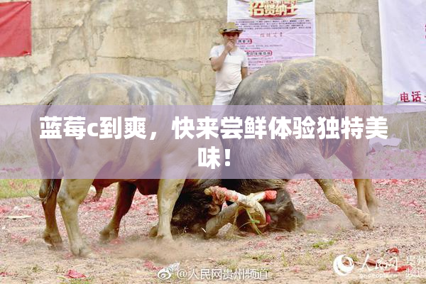 蓝莓c到爽，快来尝鲜体验独特美味！
