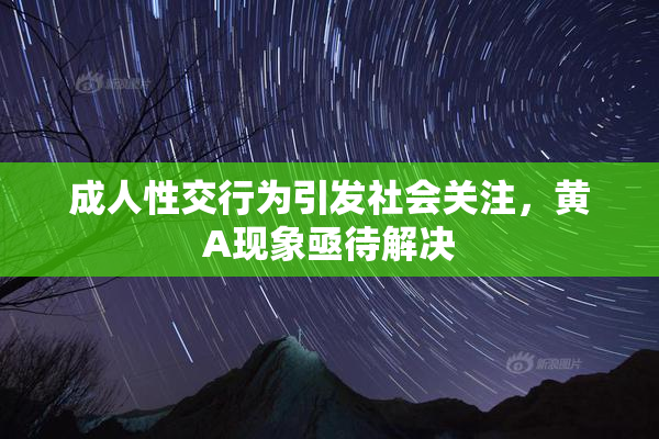 成人性交行为引发社会关注，黄A现象亟待解决