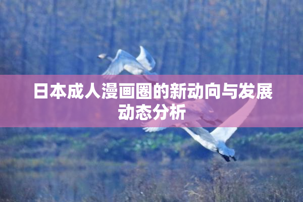 日本成人漫画圈的新动向与发展动态分析