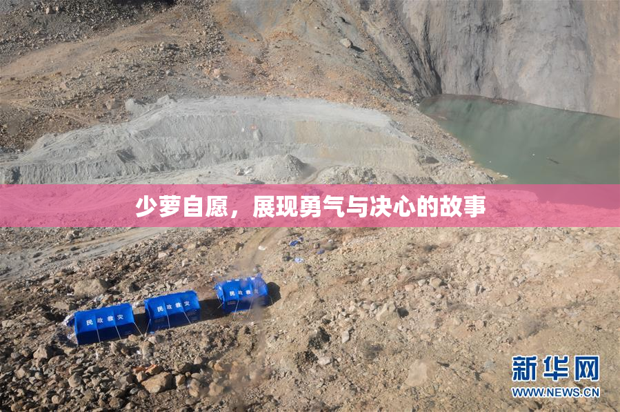 少萝自愿，展现勇气与决心的故事