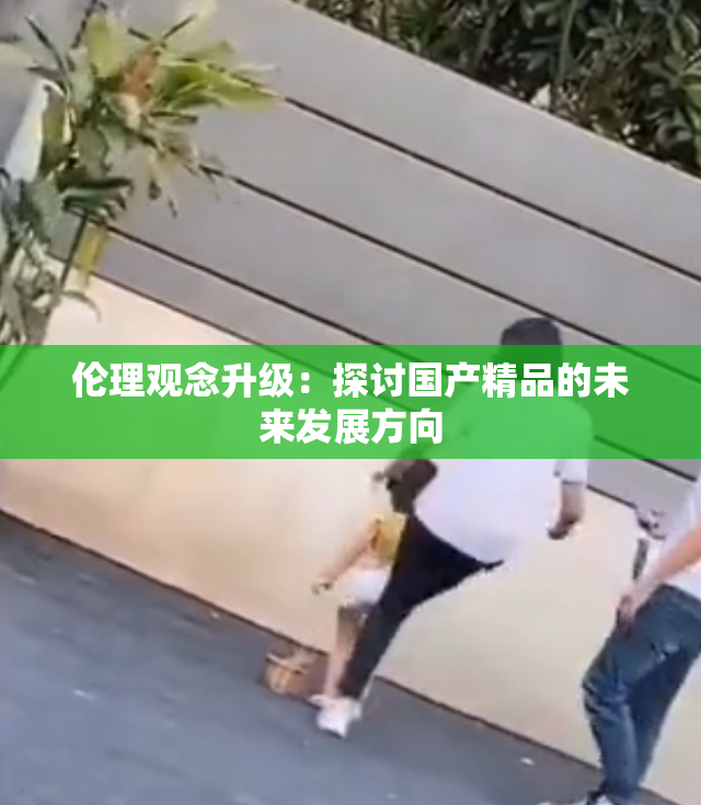 伦理观念升级：探讨国产精品的未来发展方向