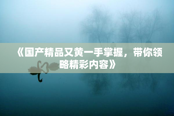 《国产精品又黄一手掌握，带你领略精彩内容》