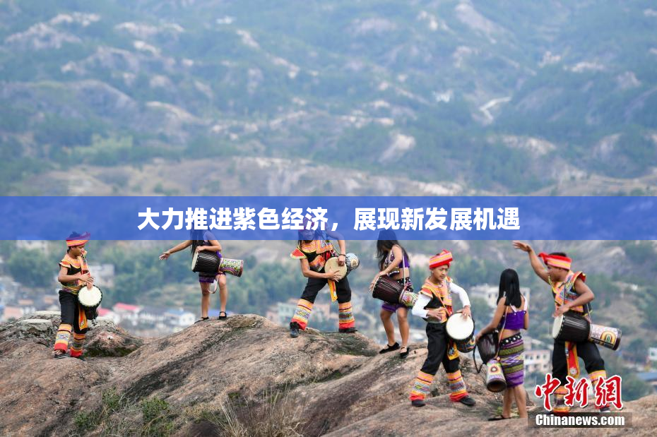 大力推进紫色经济，展现新发展机遇