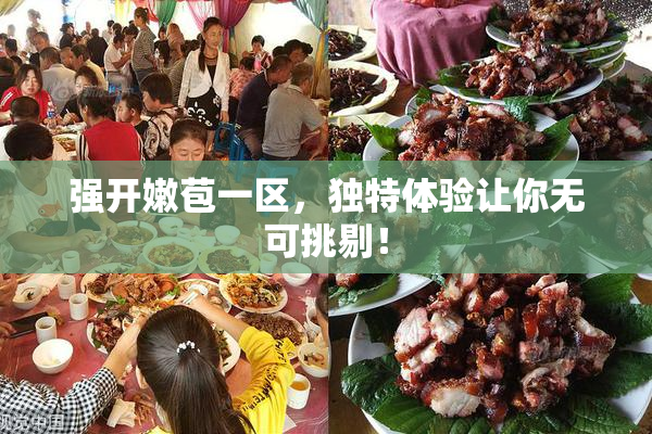 强开嫩苞一区，独特体验让你无可挑剔！