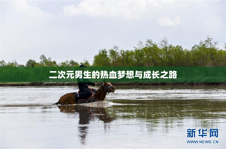 二次元男生的热血梦想与成长之路