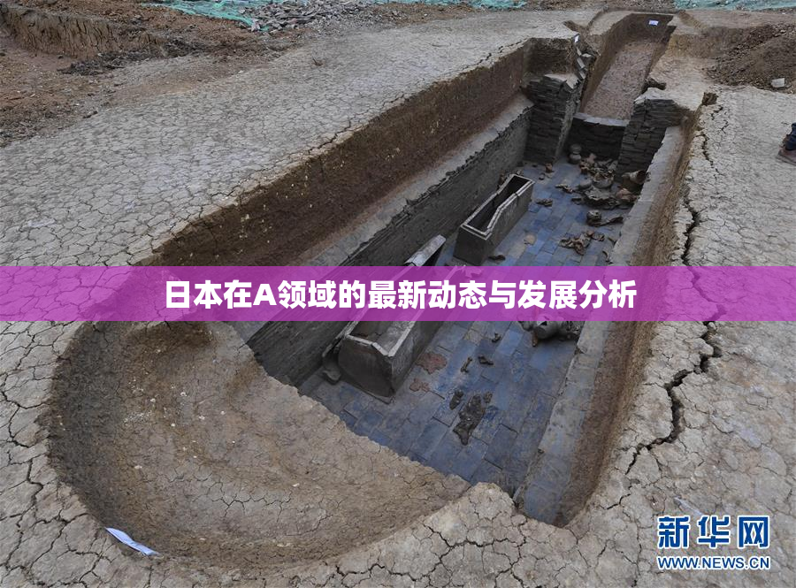 日本在A领域的最新动态与发展分析