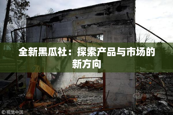 全新黑瓜社：探索产品与市场的新方向