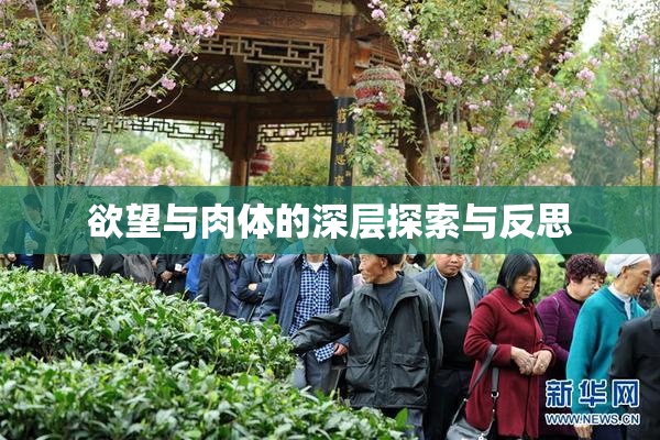 欲望与肉体的深层探索与反思
