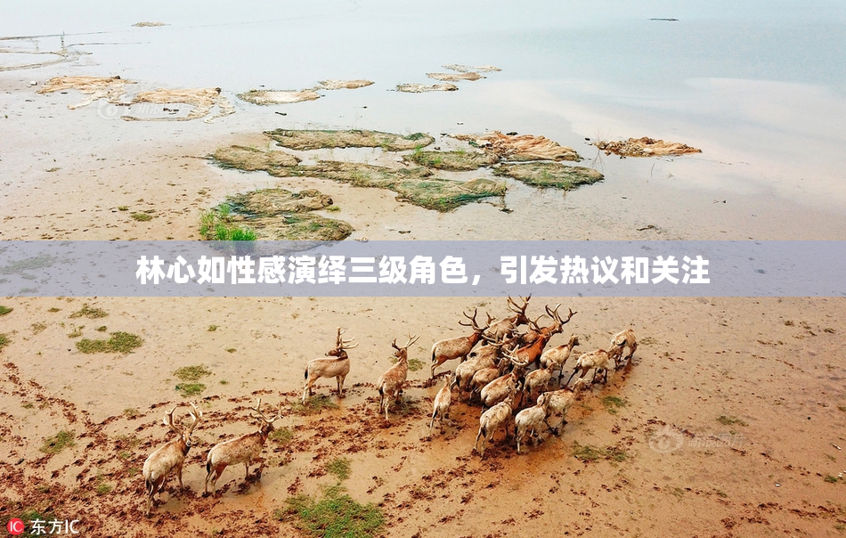 林心如性感演绎三级角色，引发热议和关注