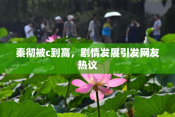 秦彻被c到高，剧情发展引发网友热议