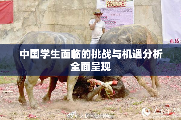 中国学生面临的挑战与机遇分析全面呈现