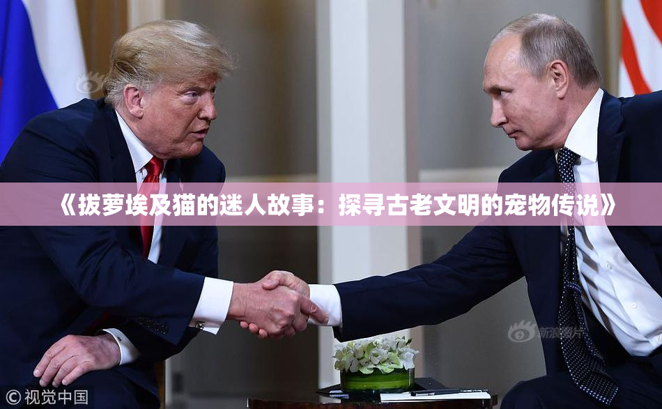 《拔萝埃及猫的迷人故事：探寻古老文明的宠物传说》