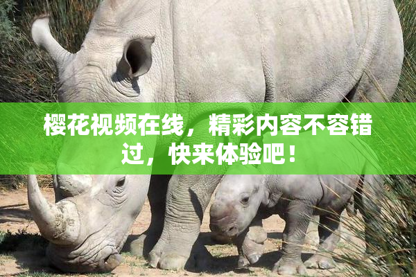 樱花视频在线，精彩内容不容错过，快来体验吧！