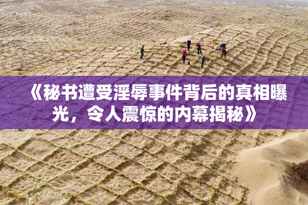 《秘书遭受淫辱事件背后的真相曝光，令人震惊的内幕揭秘》