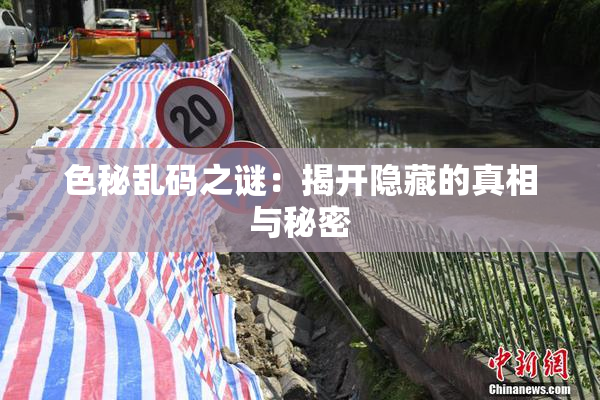 色秘乱码之谜：揭开隐藏的真相与秘密