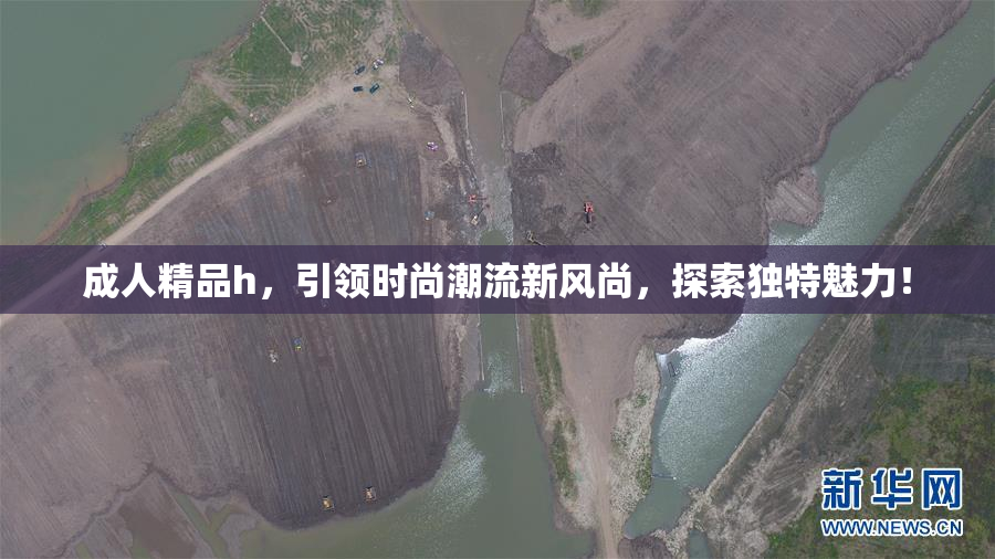 成人精品h，引领时尚潮流新风尚，探索独特魅力！