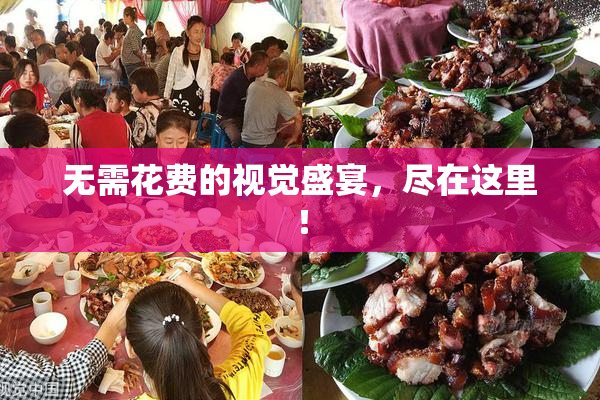 无需花费的视觉盛宴，尽在这里！