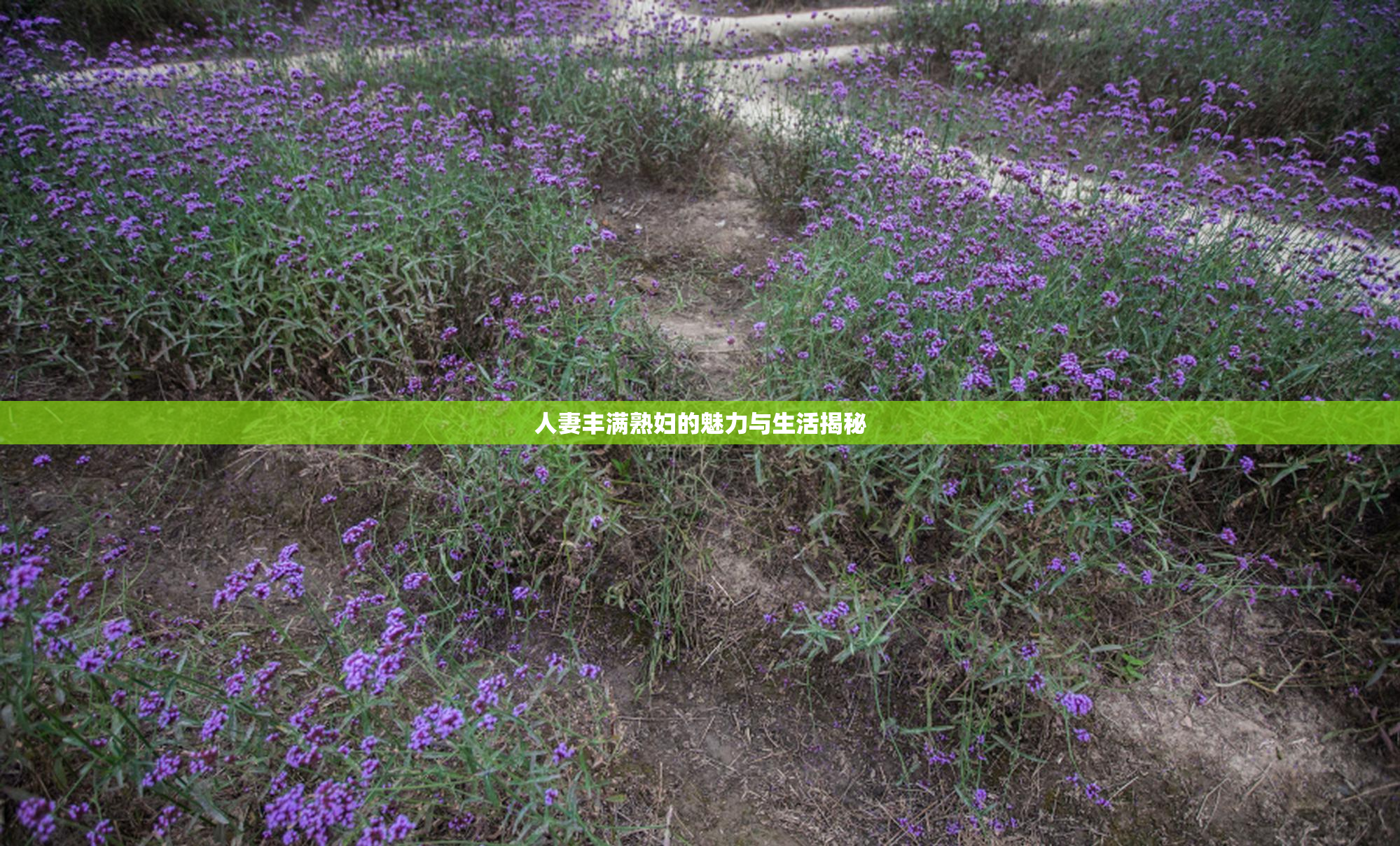人妻丰满熟妇的魅力与生活揭秘