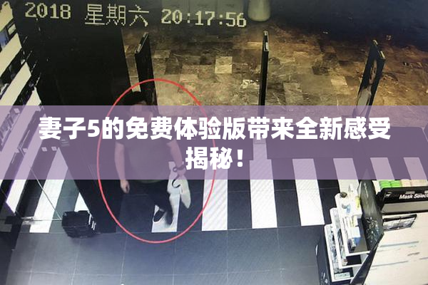 妻子5的免费体验版带来全新感受揭秘！