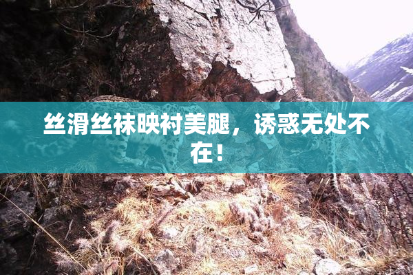 丝滑丝袜映衬美腿，诱惑无处不在！