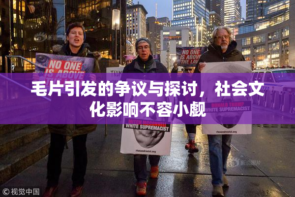 毛片引发的争议与探讨，社会文化影响不容小觑