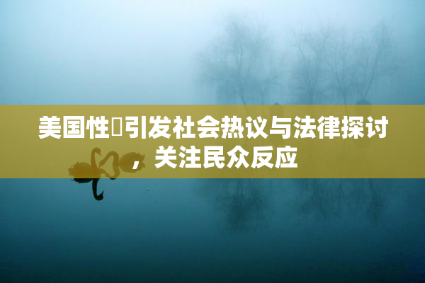 美国性婬引发社会热议与法律探讨，关注民众反应
