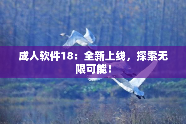 成人软件18：全新上线，探索无限可能！