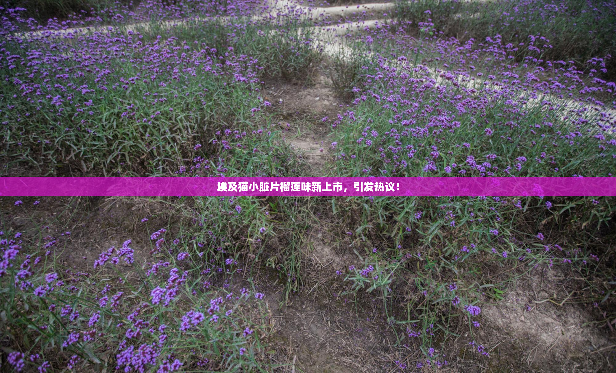 埃及猫小脏片榴莲味新上市，引发热议！