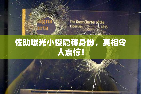 佐助曝光小樱隐秘身份，真相令人震惊！