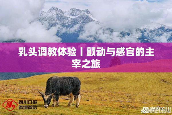 乳头调教体验丨颤动与感官的主宰之旅