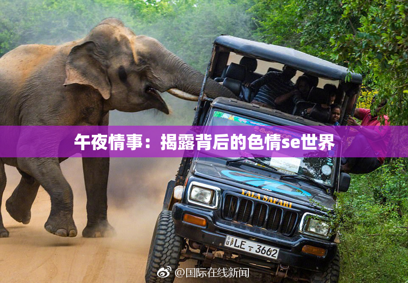 午夜情事：揭露背后的色情se世界