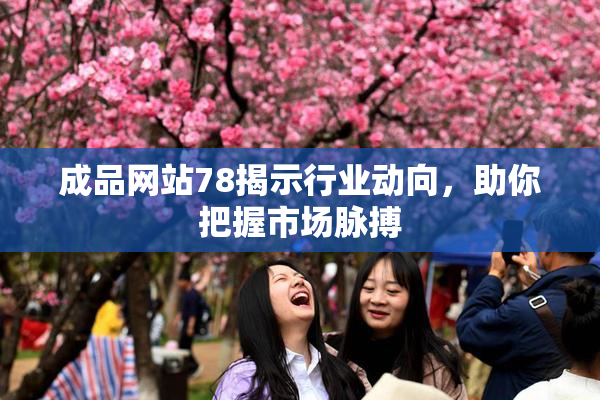 成品网站78揭示行业动向，助你把握市场脉搏