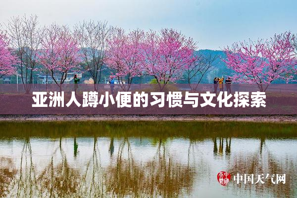 亚洲人蹲小便的习惯与文化探索