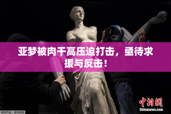 亚梦被肉干高压迫打击，亟待求援与反击！