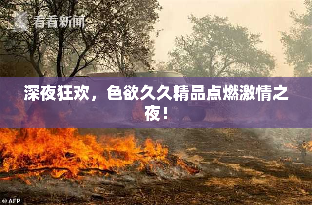深夜狂欢，色欲久久精品点燃激情之夜！