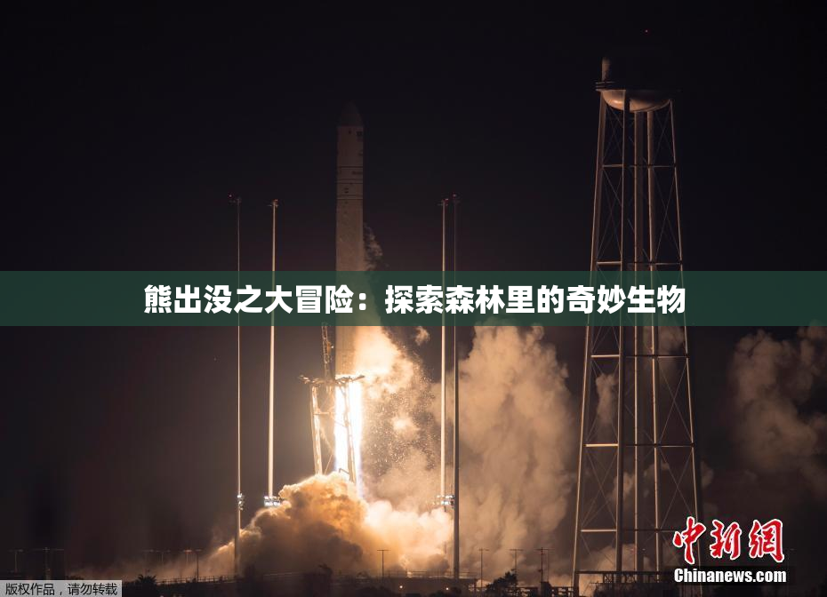 熊出没之大冒险：探索森林里的奇妙生物