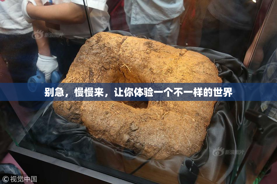 别急，慢慢来，让你体验一个不一样的世界