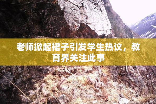 老师掀起裙子引发学生热议，教育界关注此事
