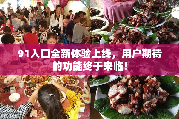 91入口全新体验上线，用户期待的功能终于来临！