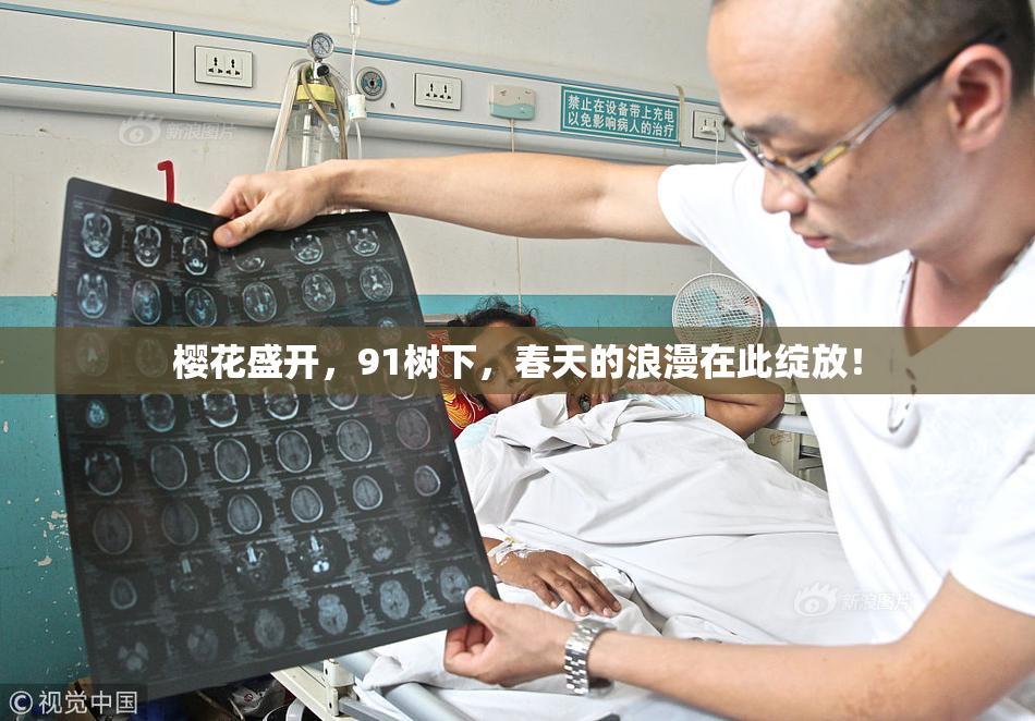 樱花盛开，91树下，春天的浪漫在此绽放！