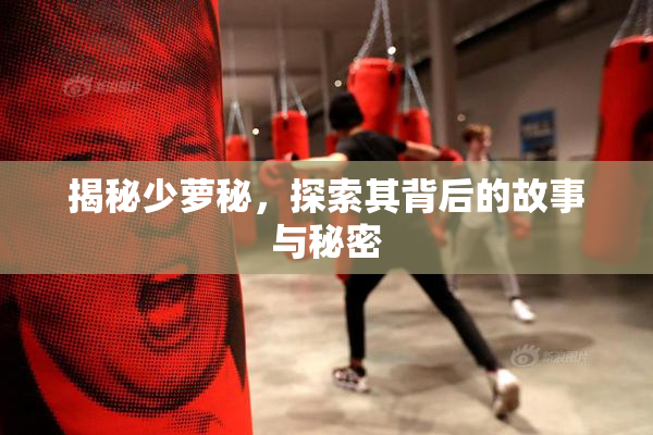 揭秘少萝秘，探索其背后的故事与秘密