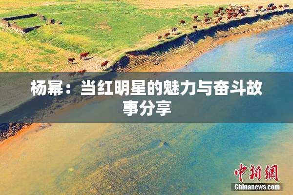 杨幂：当红明星的魅力与奋斗故事分享