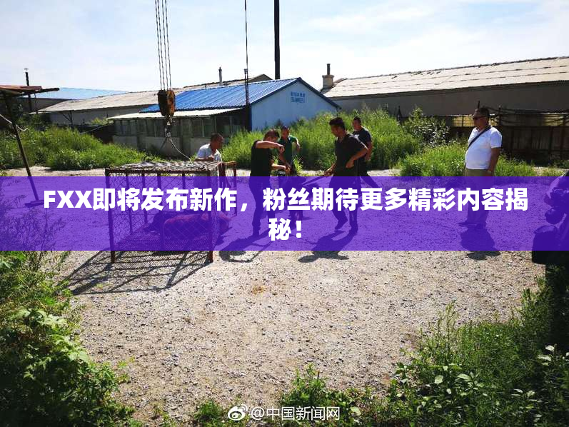FXX即将发布新作，粉丝期待更多精彩内容揭秘！