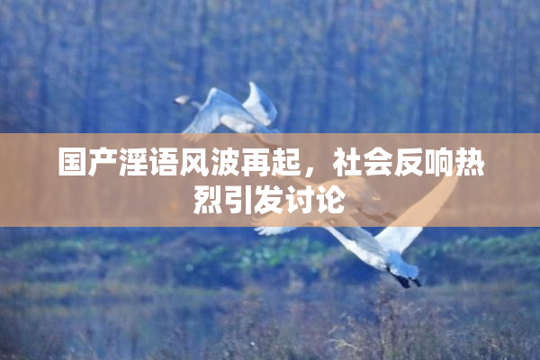 国产淫语风波再起，社会反响热烈引发讨论
