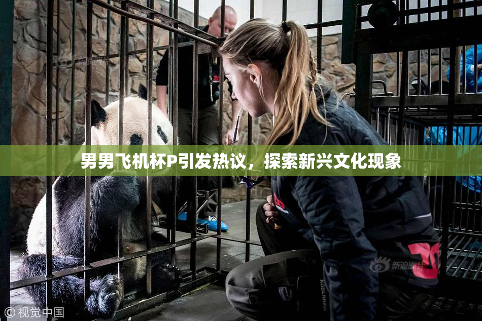 男男飞机杯P引发热议，探索新兴文化现象